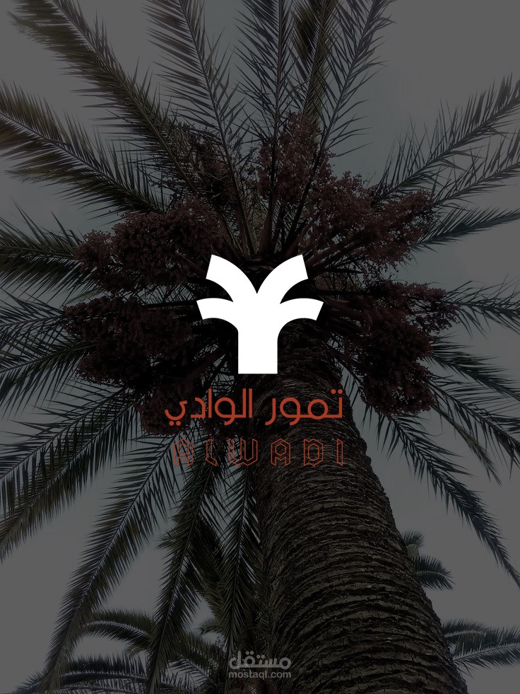 تصميم شعار وهوية بصرية فاخرة لعلامة "تمور الوادي" المتخصصة في بيع التمور