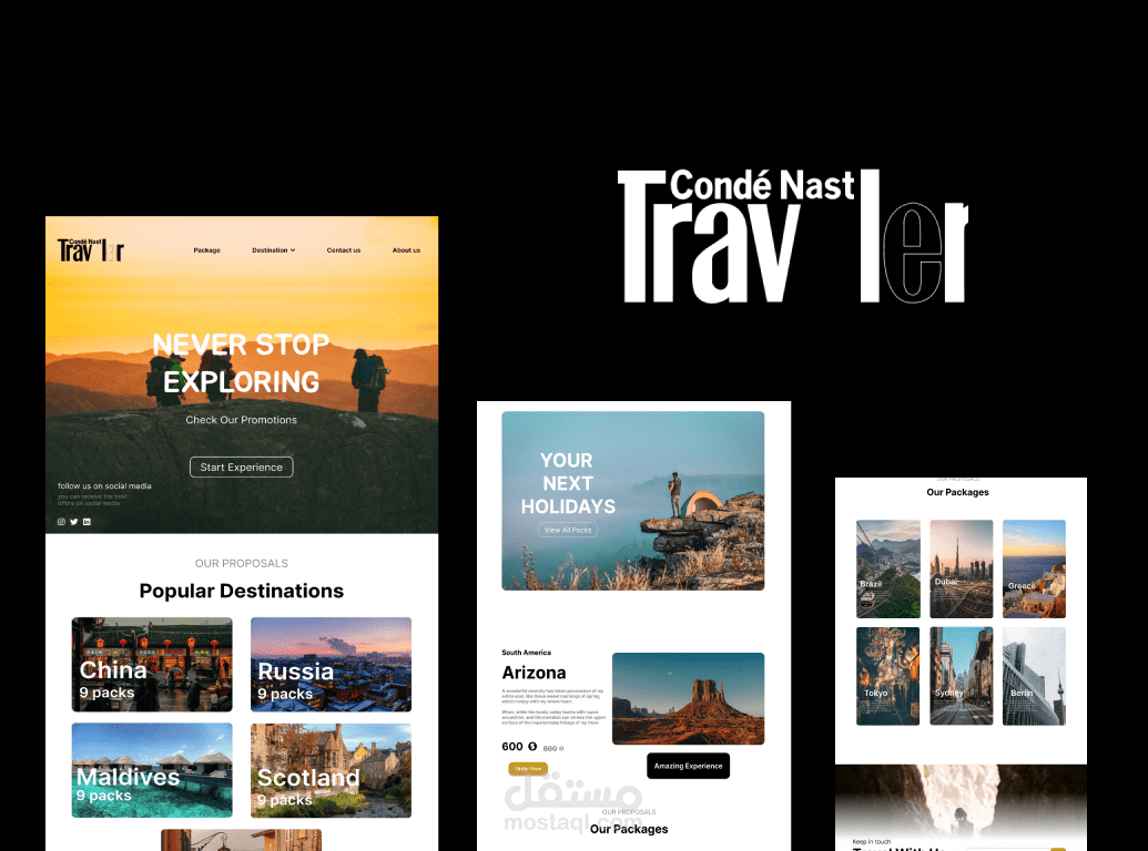 TRAVEL AGENCY WEB DESIGN