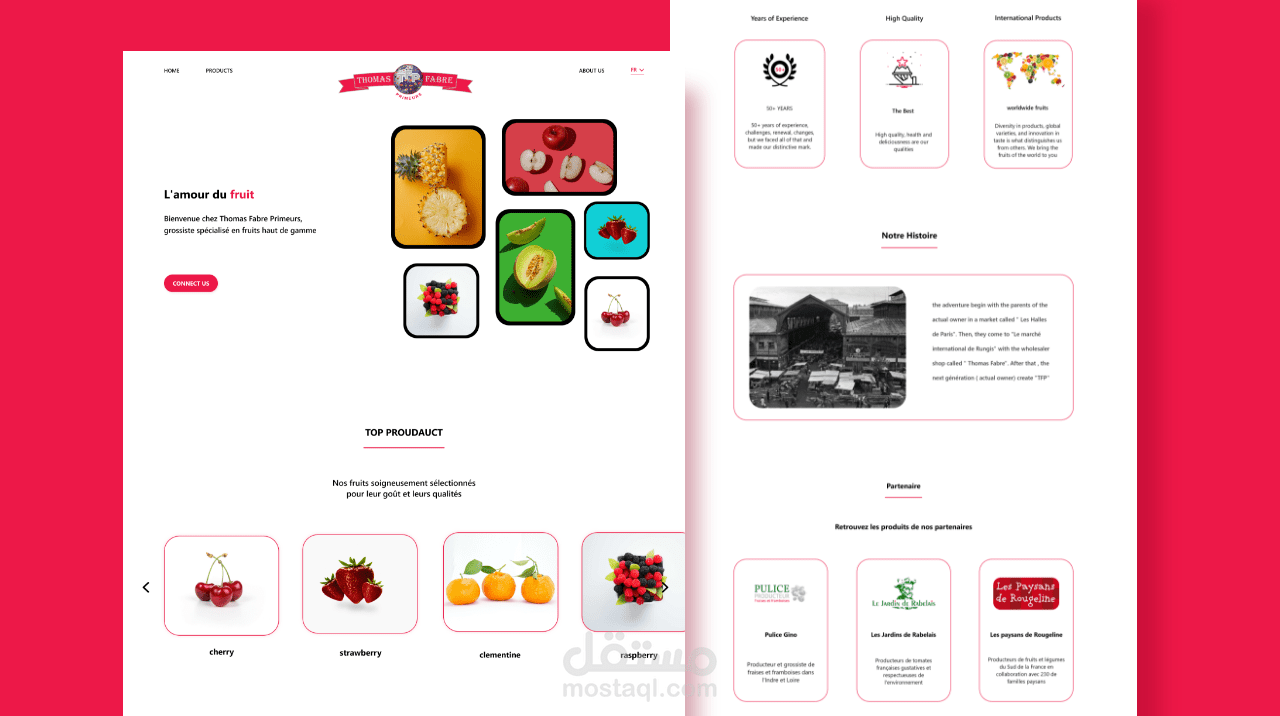 TFP company single page website