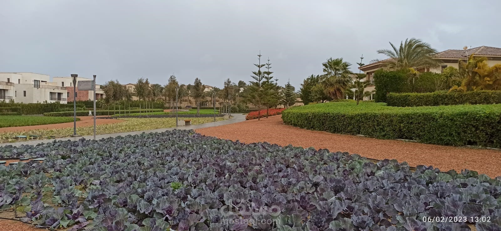 community areas