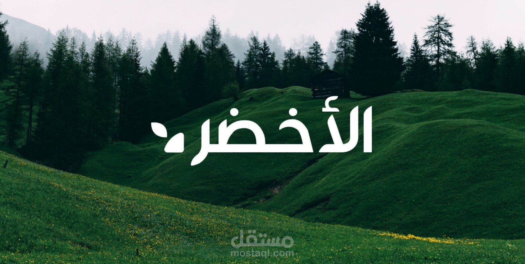 Green - الاخضر