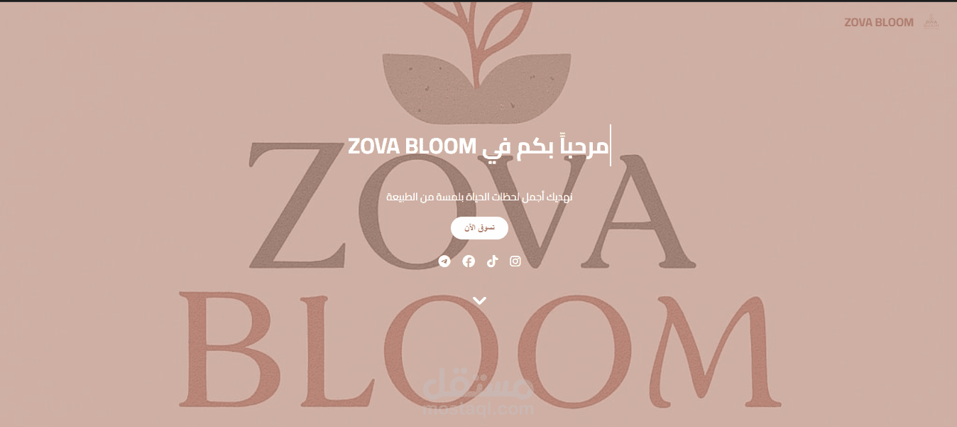 موقع ويب تجاري بسيط مع صفحة رئيسية وصفحة منتجات