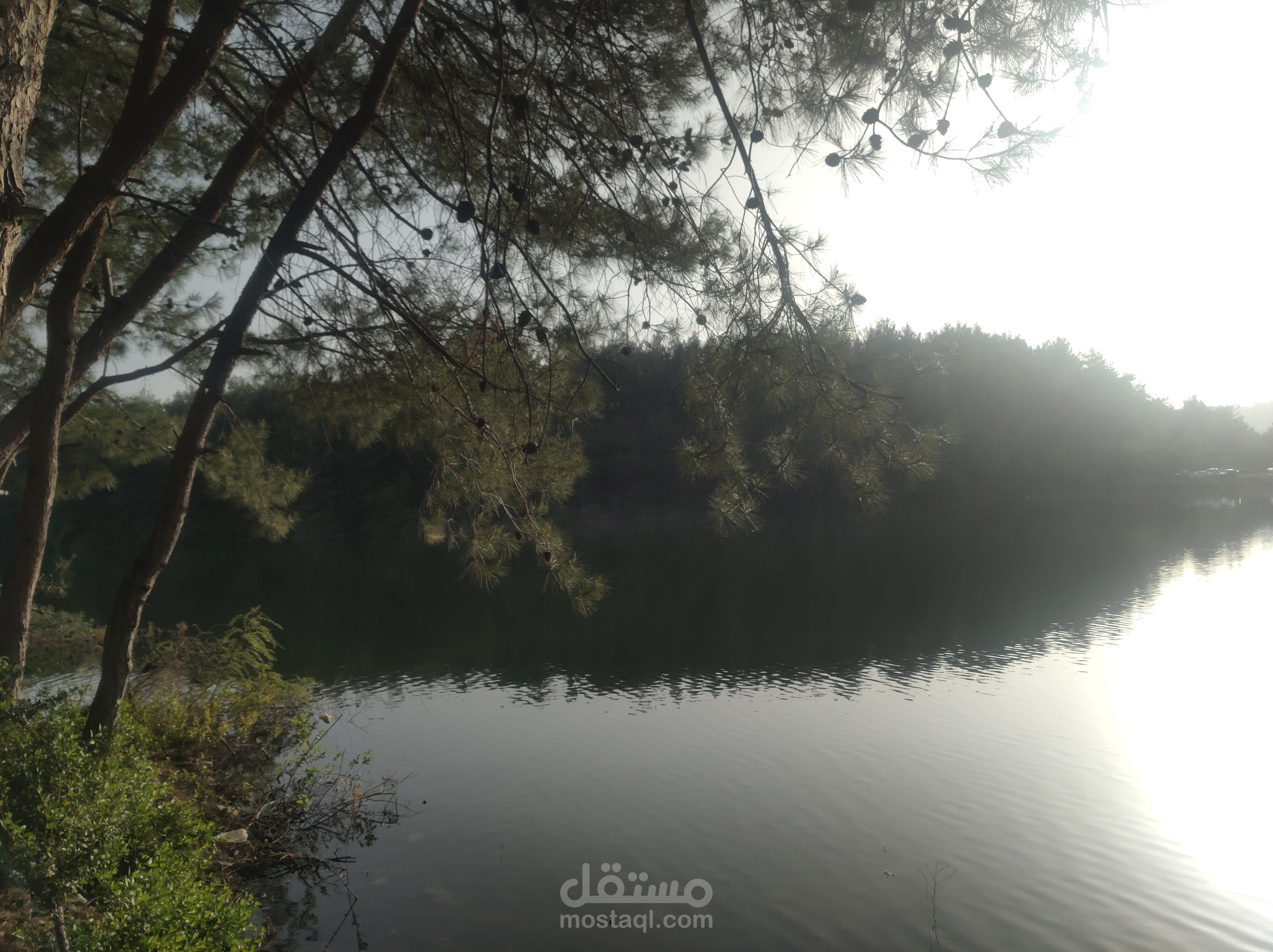 تعليق صوتي