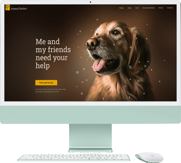 متجر مستلزمات الحيوانات