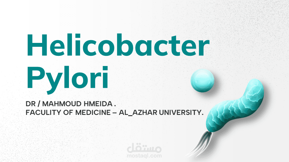تصميم باوربوينت مع انفوجرافيك احترافي. (POWERPOINT PRESENTATION )