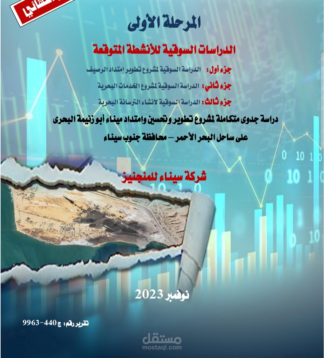 دراسة جدوى تسويقية