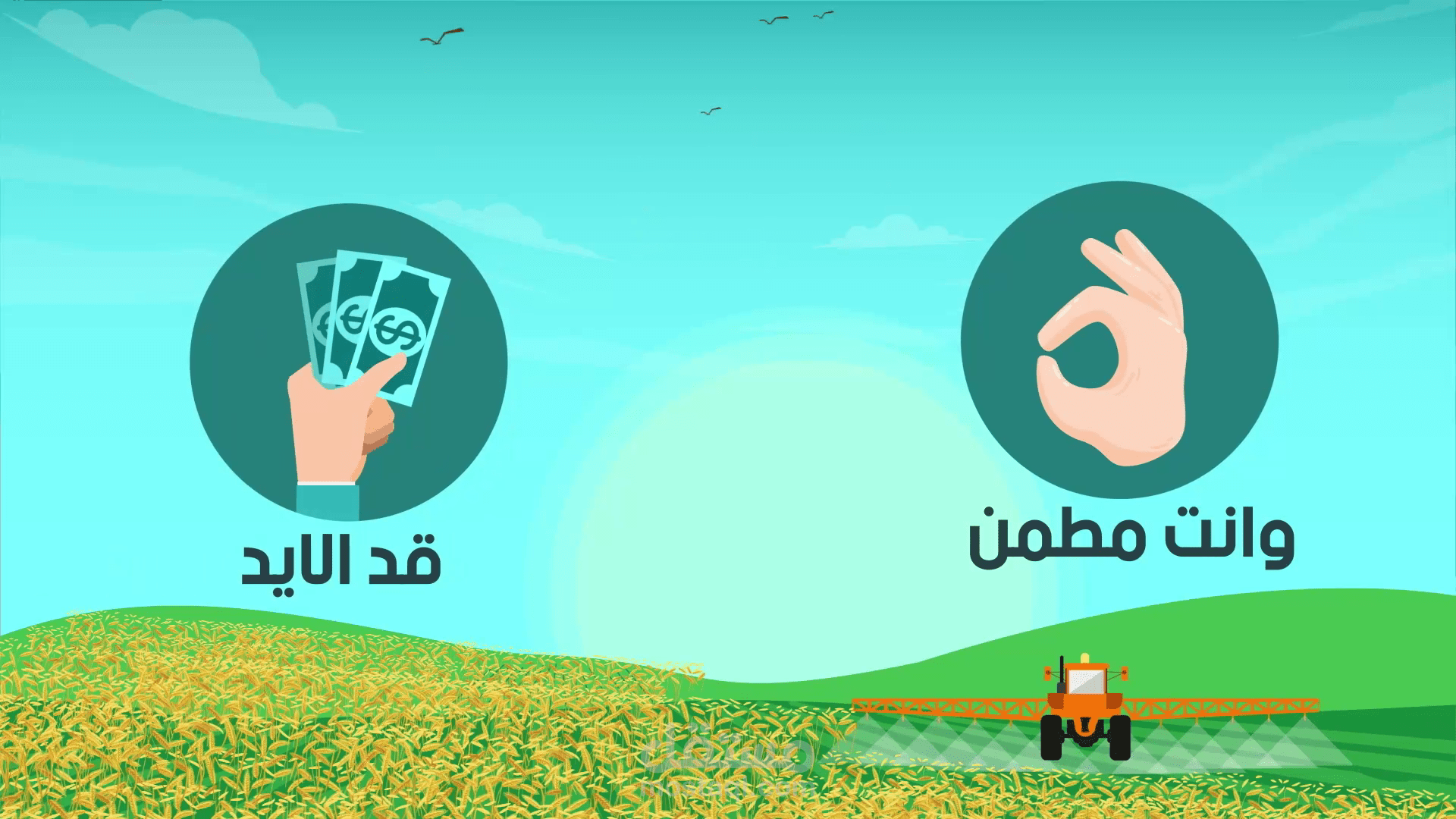 فيديو موشن جرافيك لشركة البركة لتقاوي الزراعة