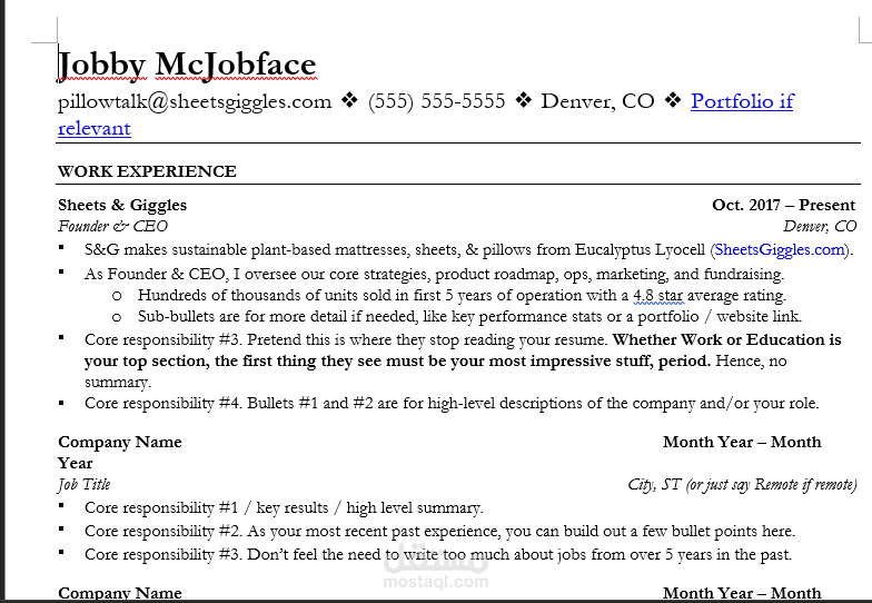 professional cv writen