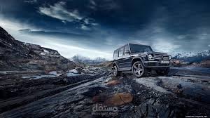 المجلس الطبي