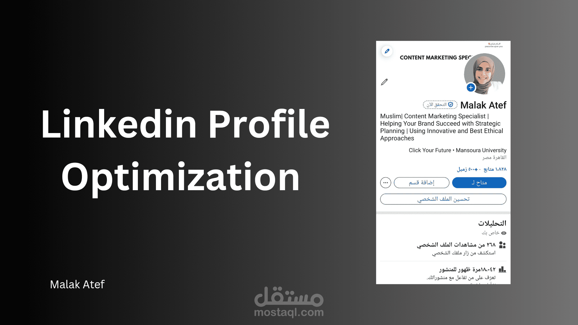 Professional LinkedIn Profile
