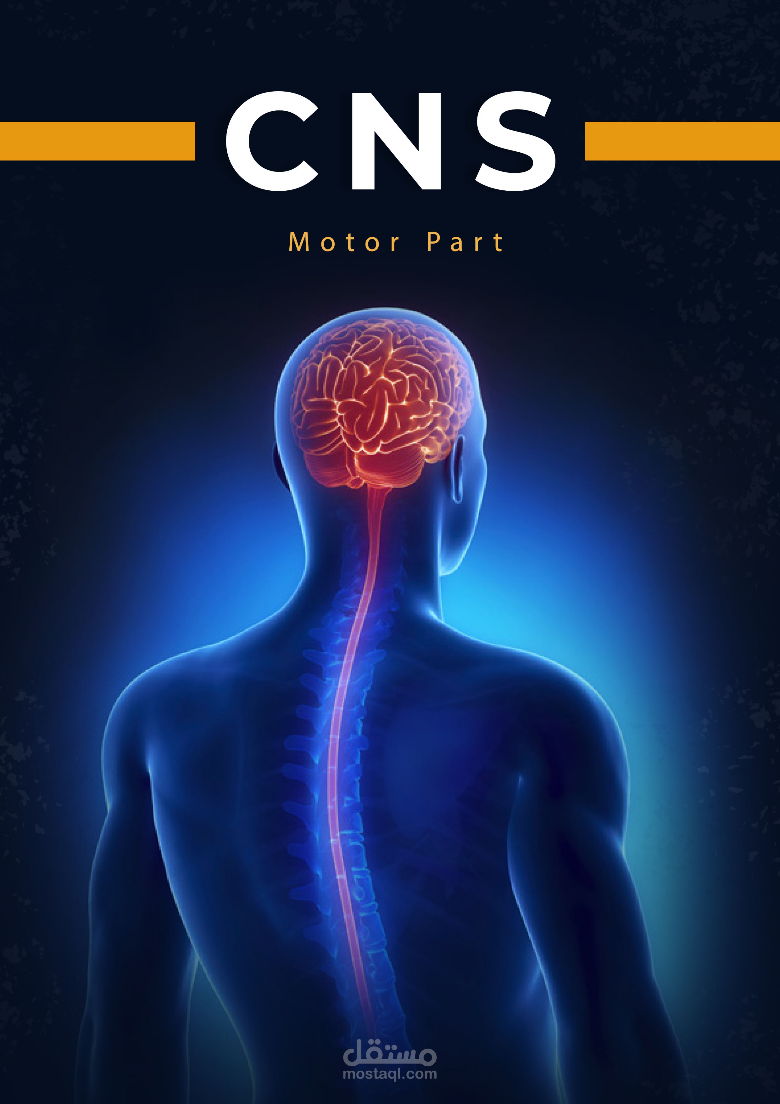 كتاب الفسيولوجى الخاص بكلية الطب البشرى جامعة كفر الشيخ