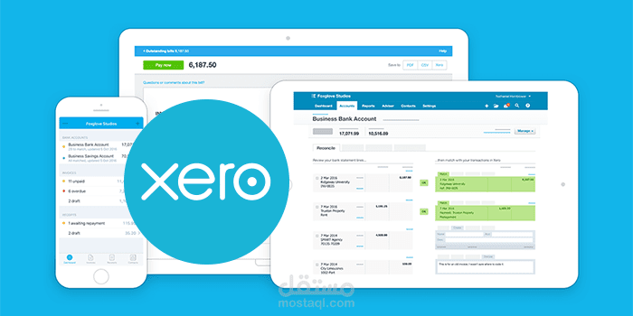 Xero ( accounting cloud software)