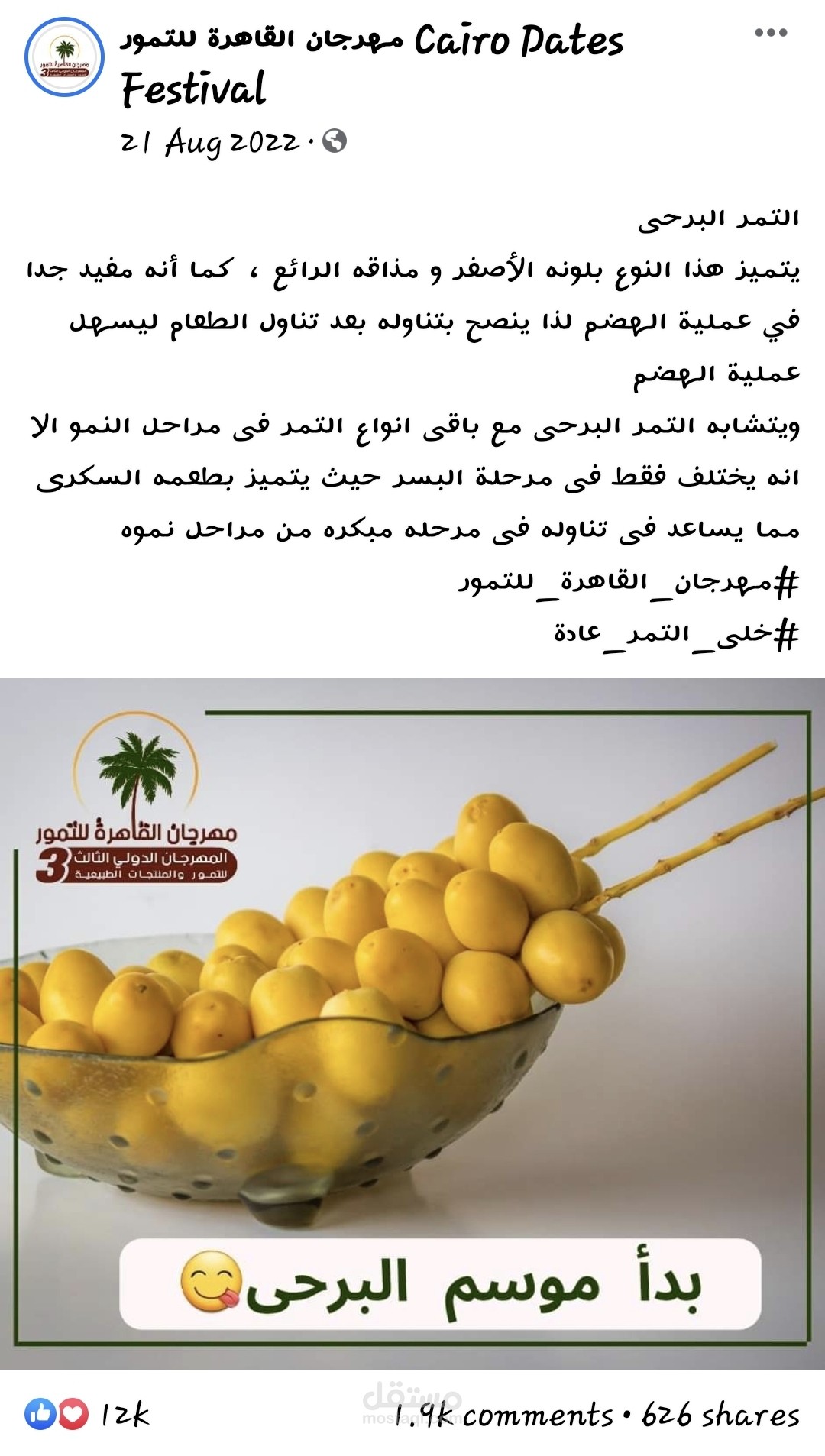كتابة محتوى