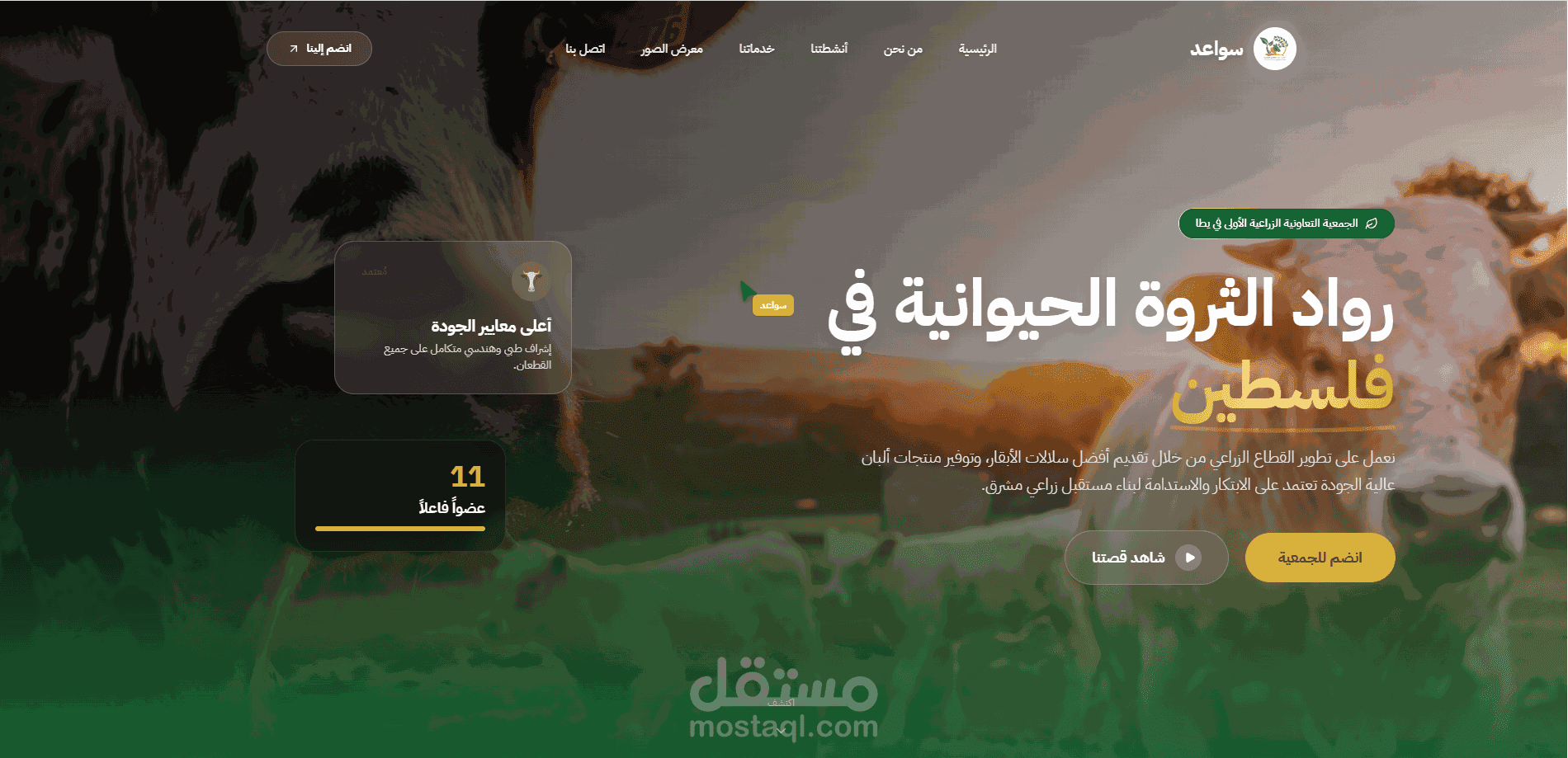 تصميم وتطوير صفحة هبوط لجمعية سواعد التعاونية الزراعية