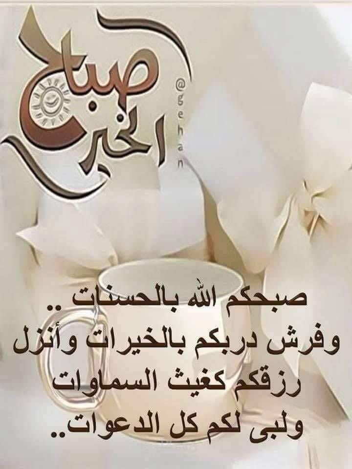 لا يوجد خبرة اليكترونية