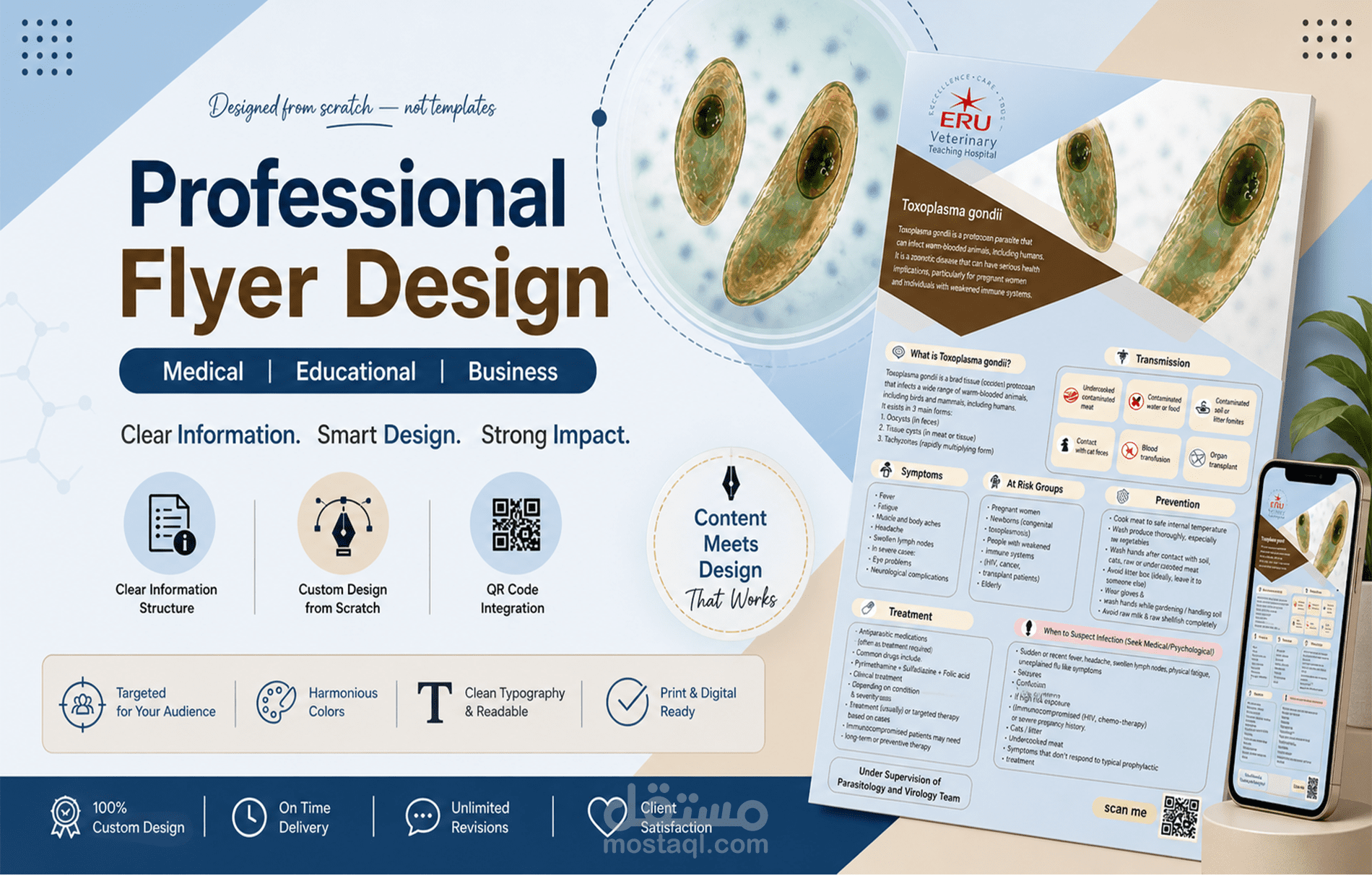 toxoplazma flyer