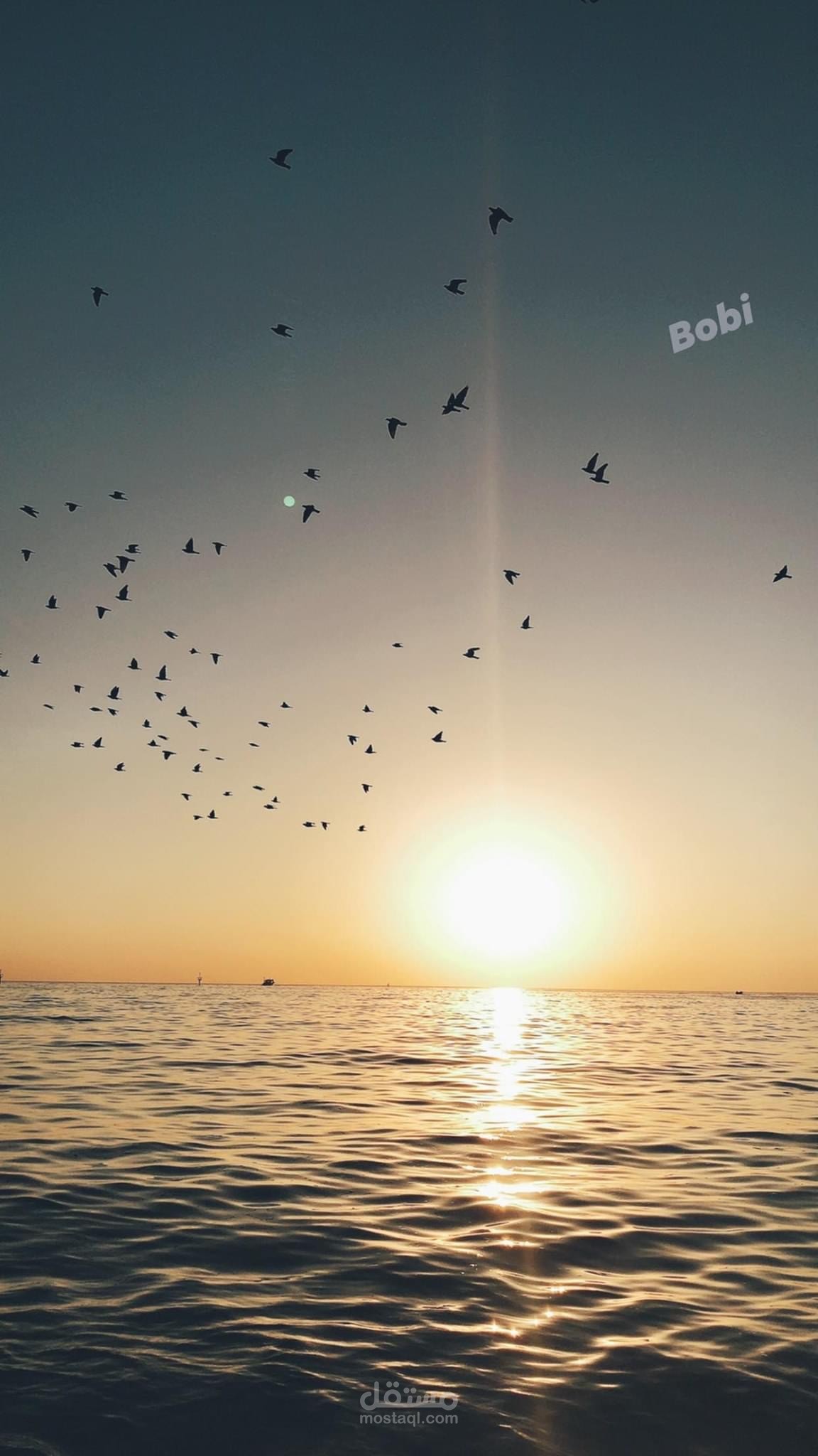 مقطع فيديو بصوتى وتصويري