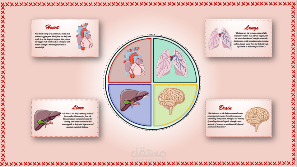 تصميم باوربوينت انفوجرافيك لشرح عمل بعض اعضاء جسم الانسان