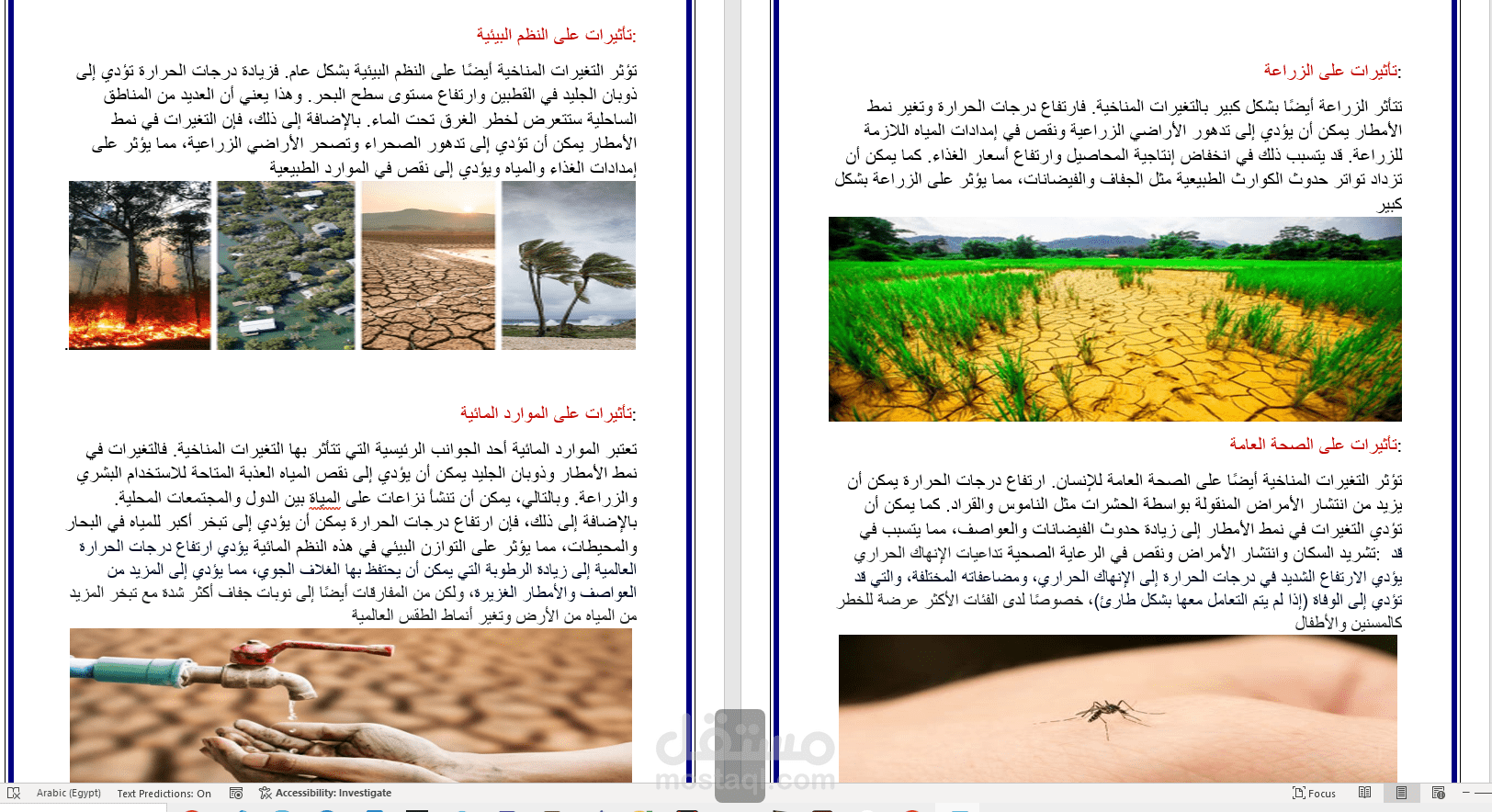 متابه بحث على الورد