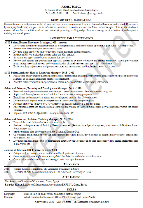 CV Writing