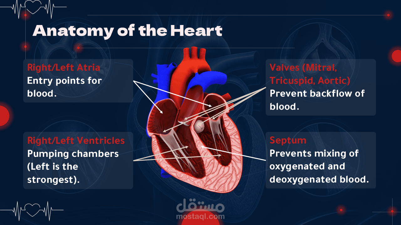 Medical Transation