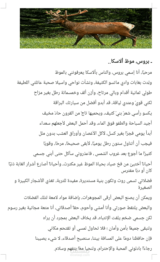 ترجمة قصة قصيرة للأطفال
