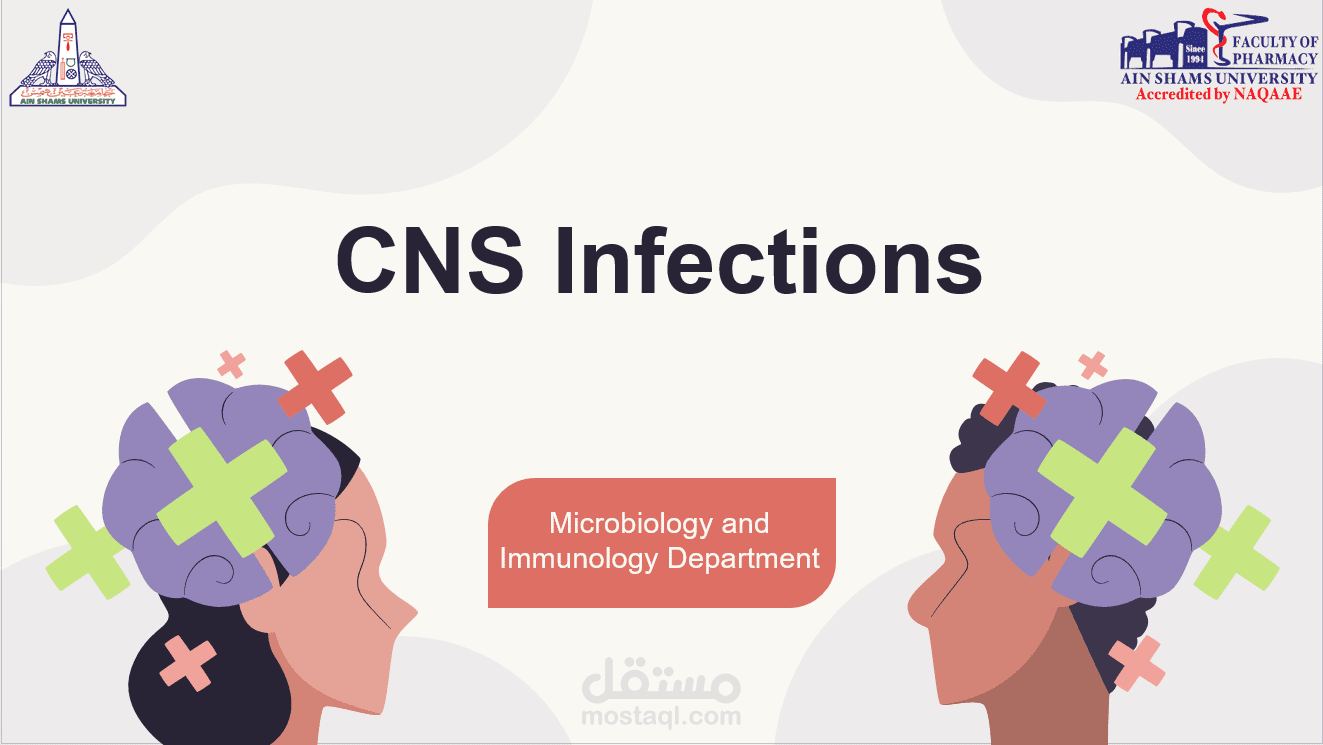 power point about CNS infections