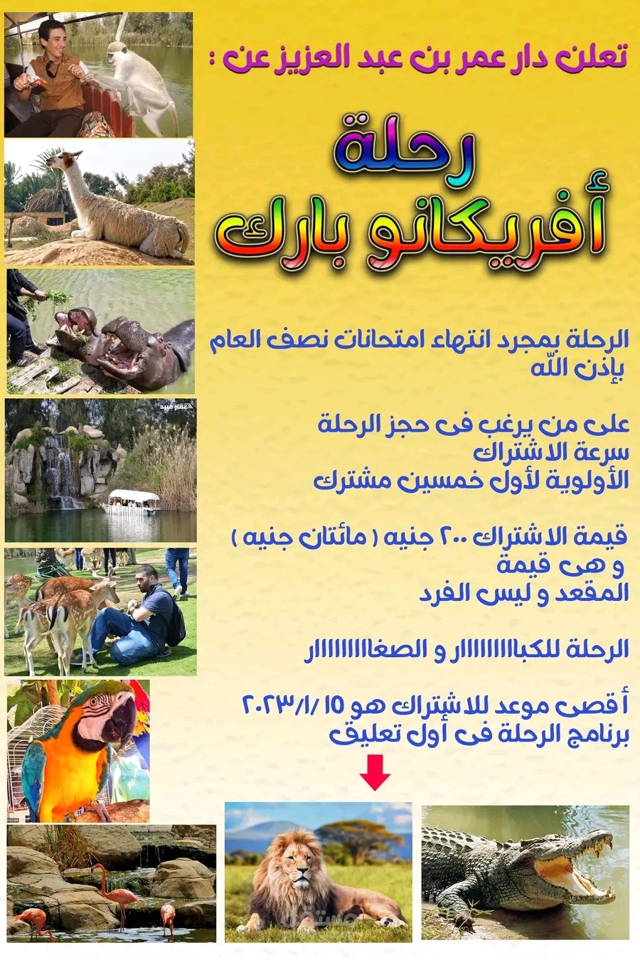 اعلان عن رحلة ترفيهية