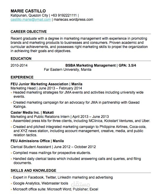 Curriculum Vitae (CV)