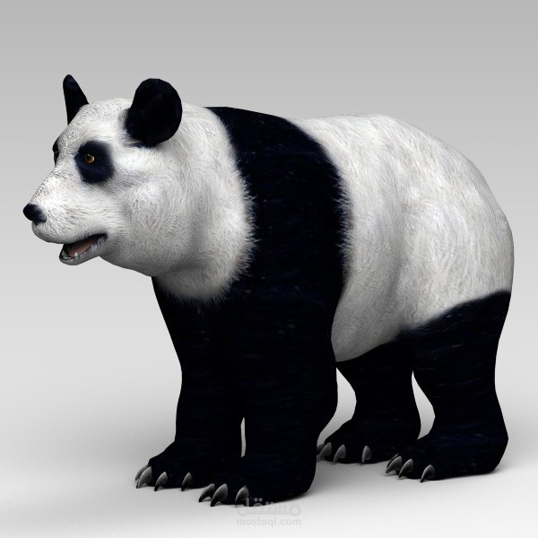 تصميم panda تلاتية الابعاد
