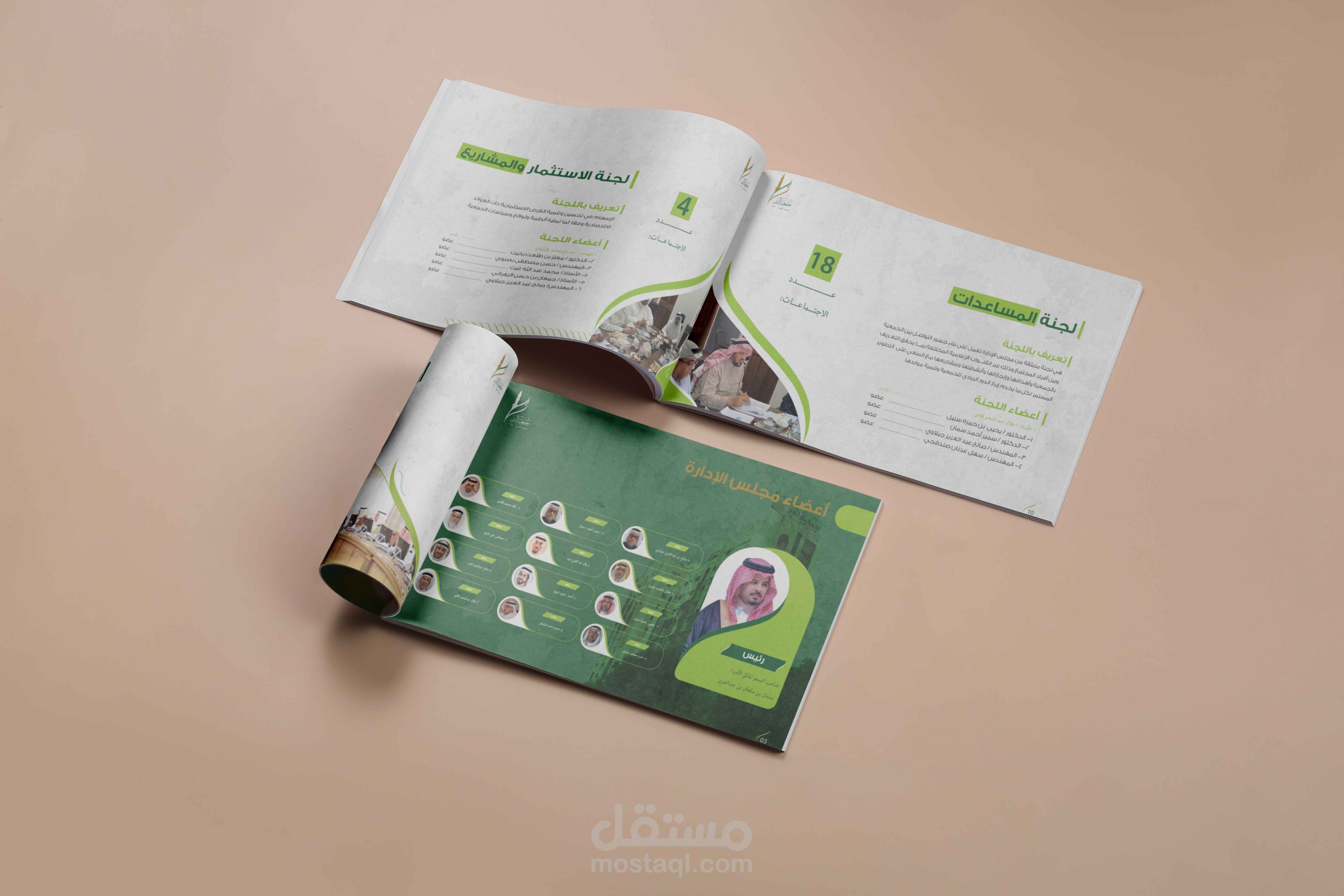 تصميم بروفايل شركة (تقرير سنوي )