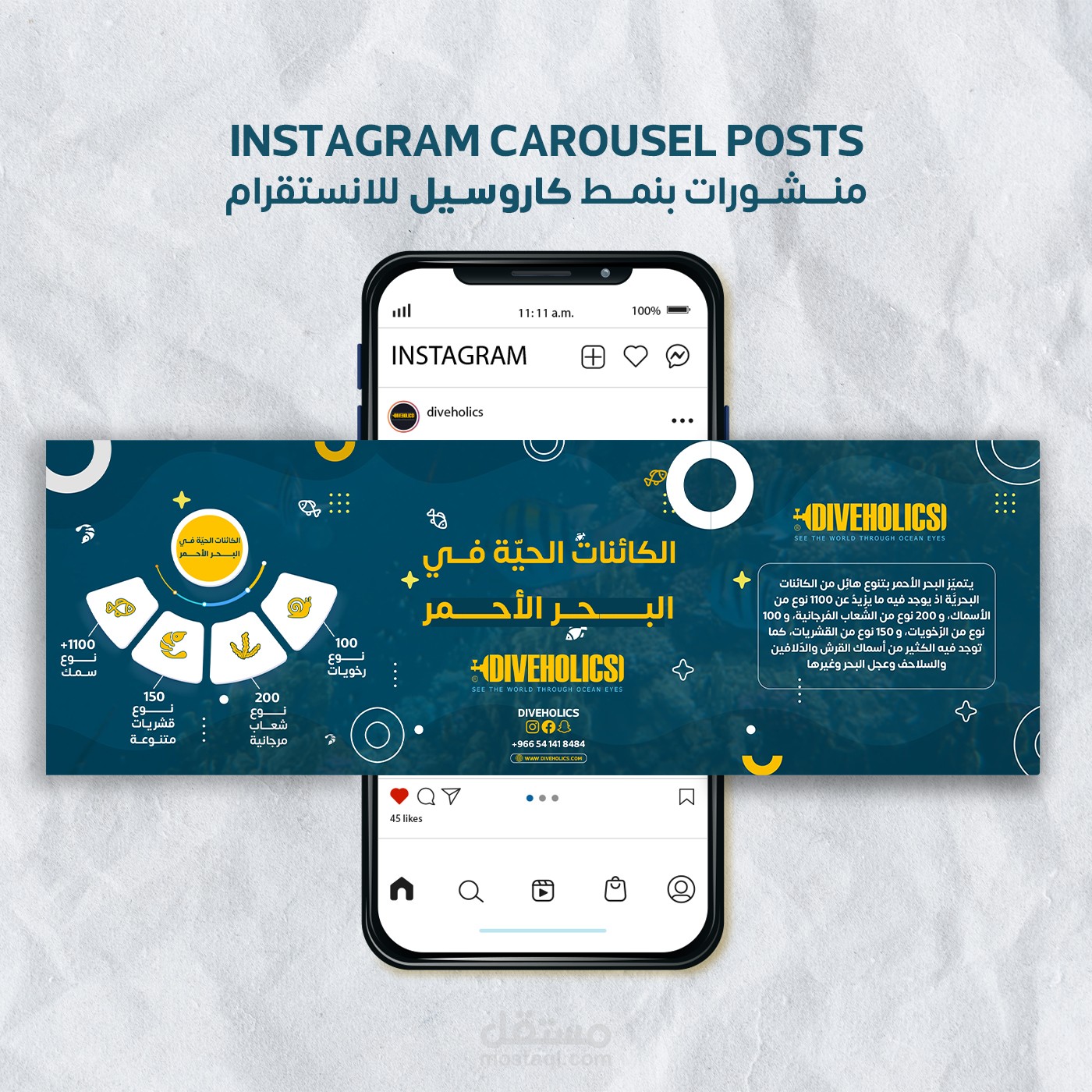 تصاميم كاروسيل لصالح أكاديمية غوص وأنشطة بحرية