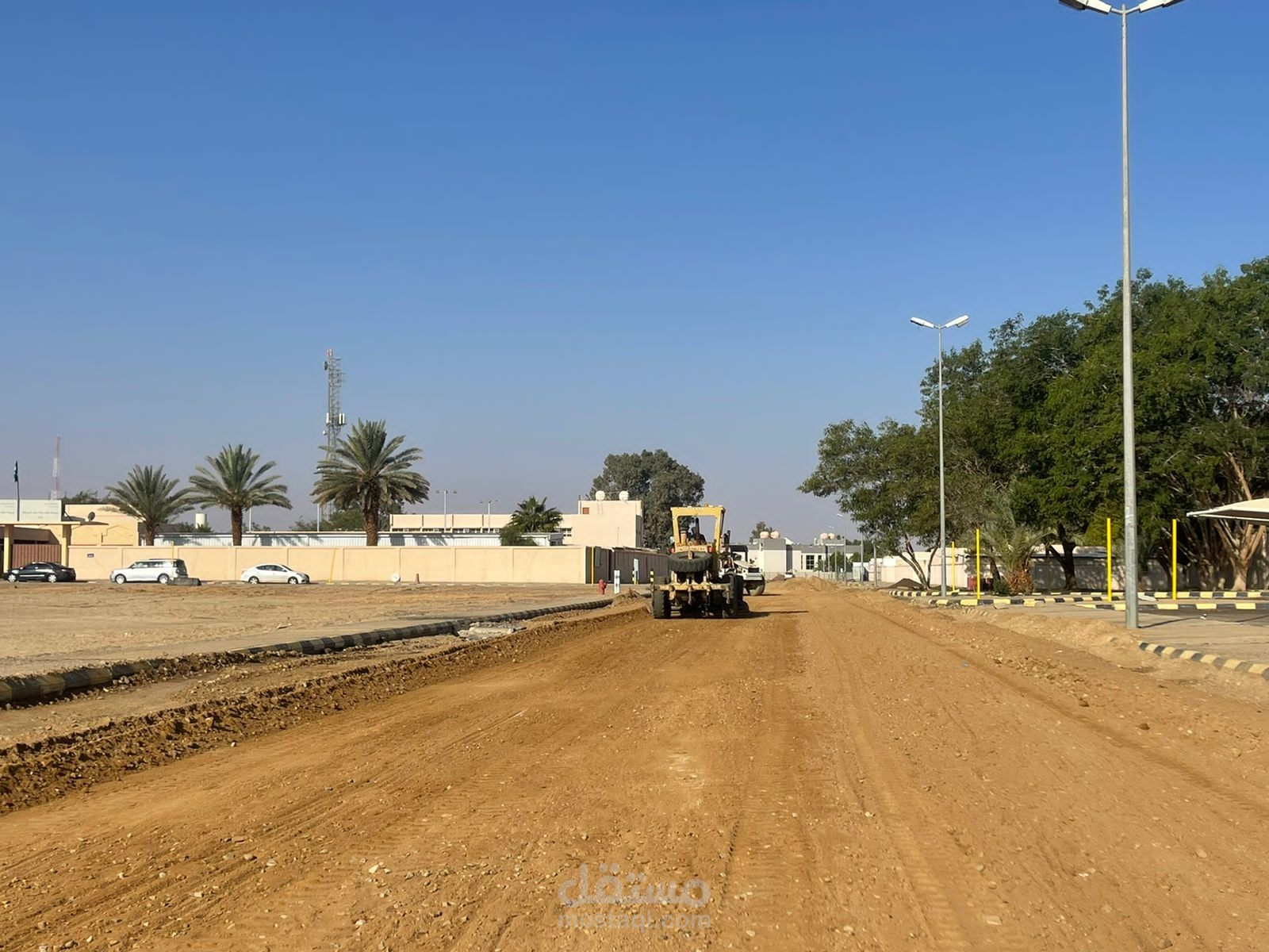 الرياض