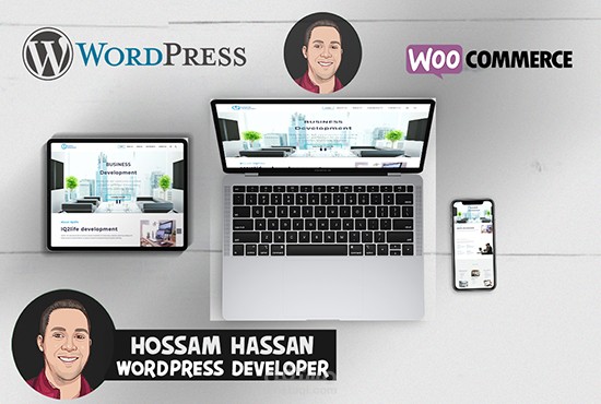 شركة برمجيات وتصميم وبرمجة مواقع مصرية