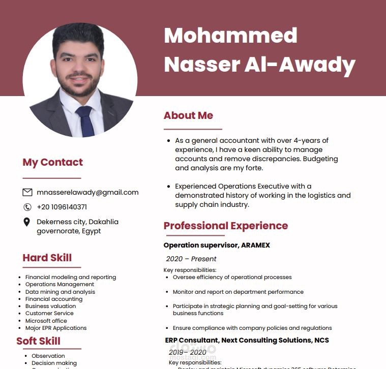 professional CV collection