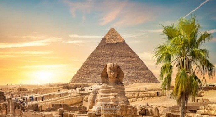 تعليق صوتي _ وثائقي