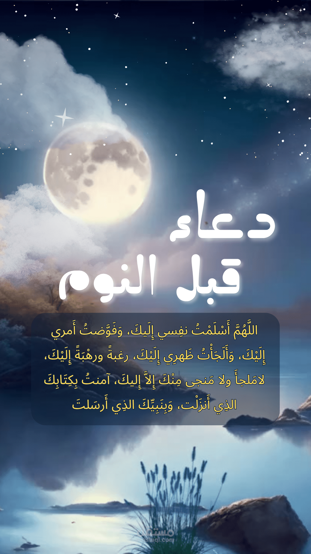 reel and short videos