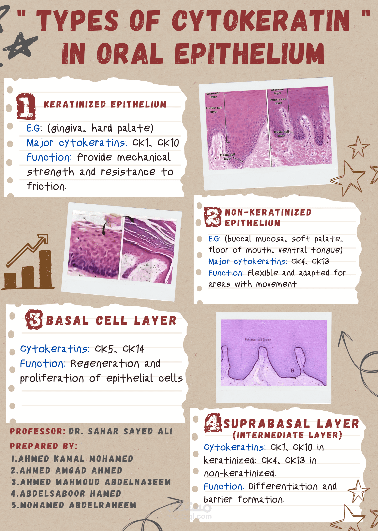 professional posters