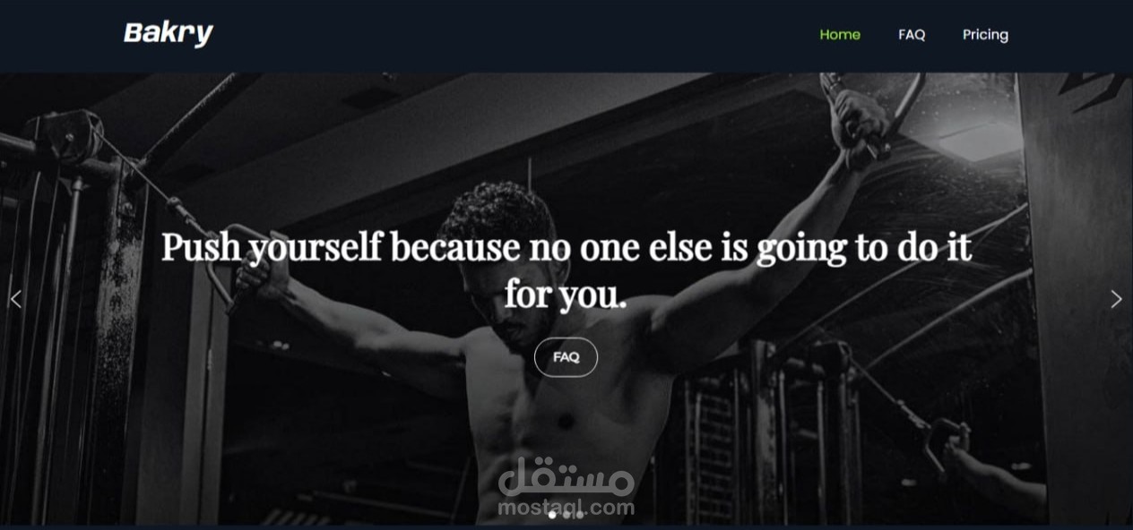 Online Coaching Webseite