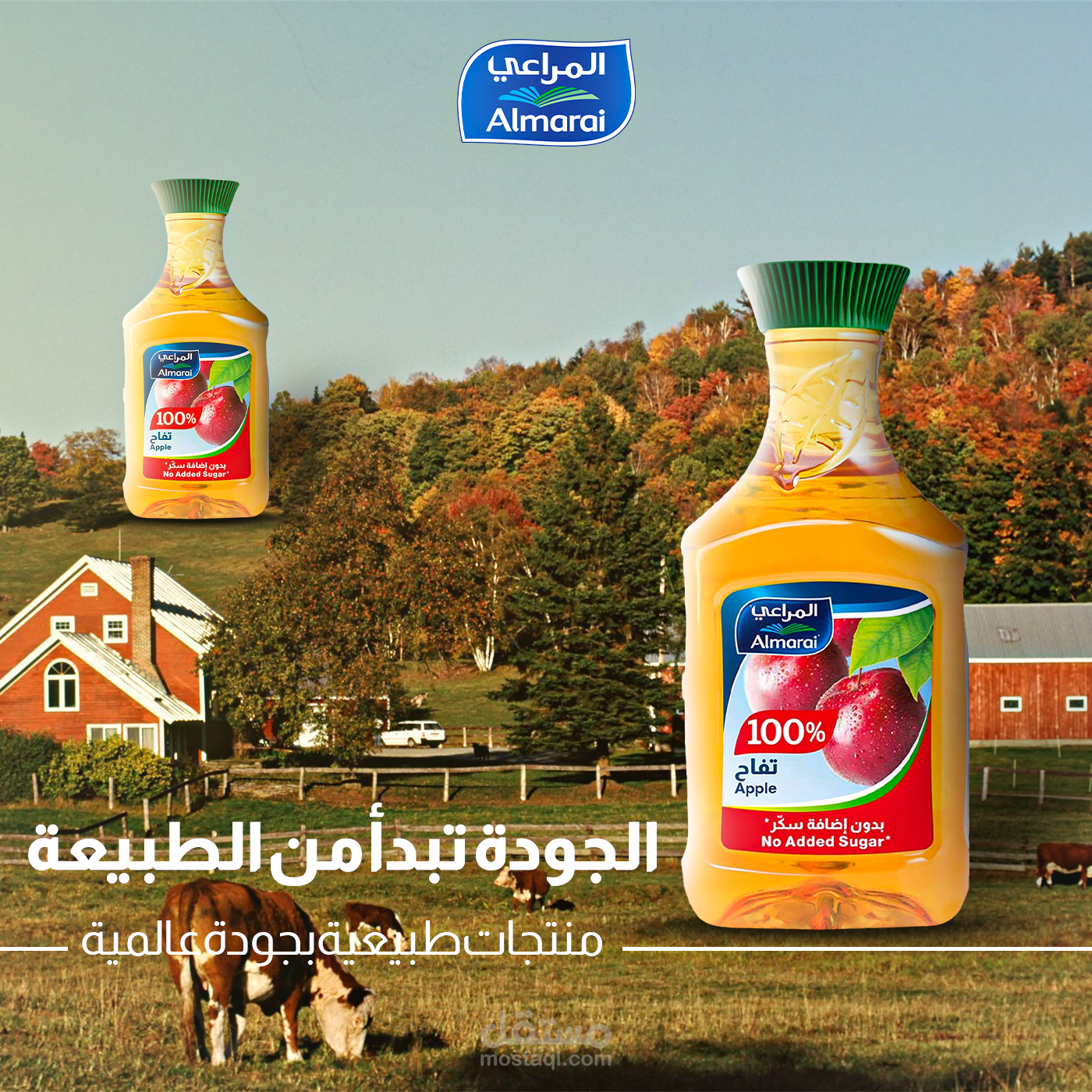 سوشيال ميديا ديزاين