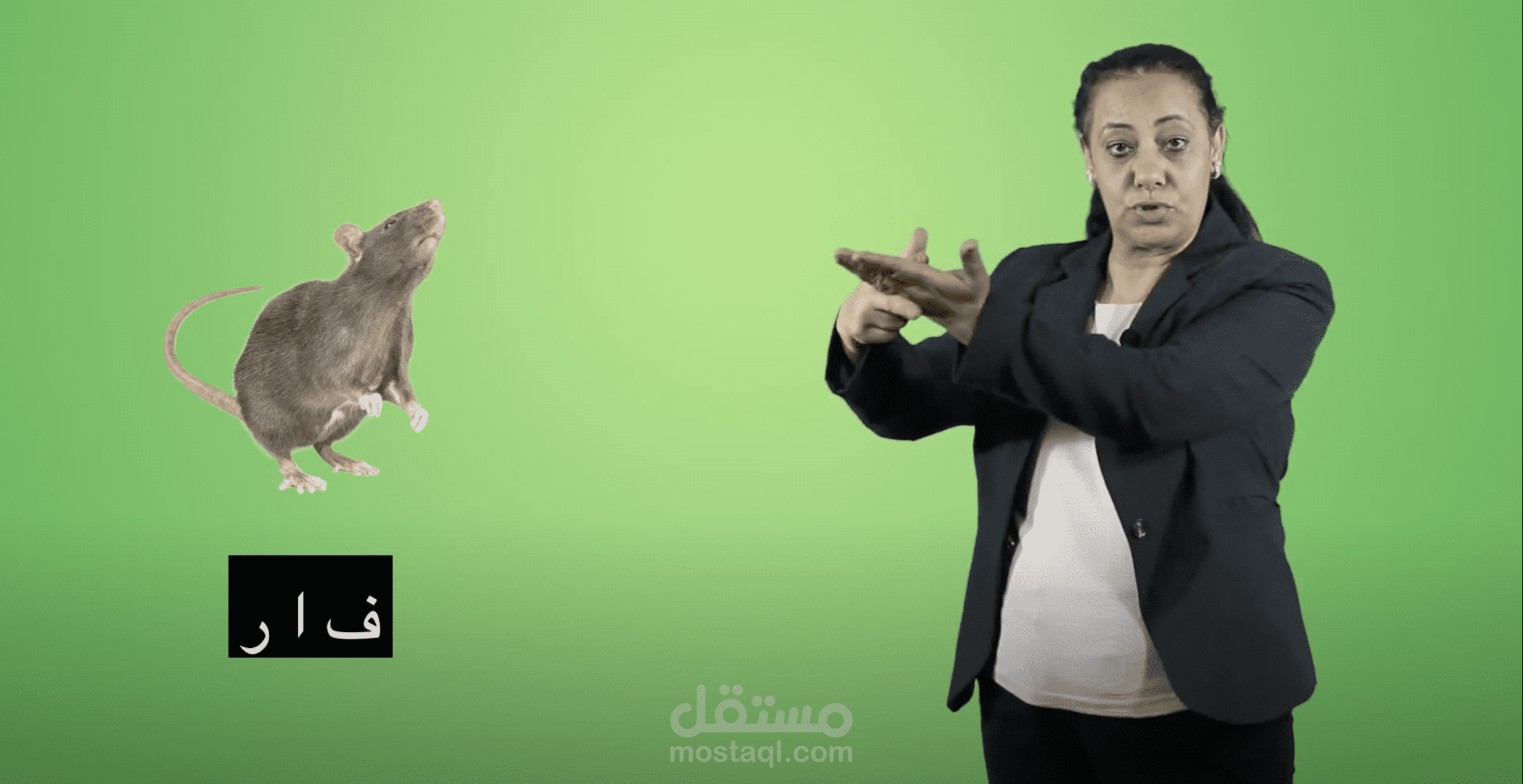 Learning Management System - Post production