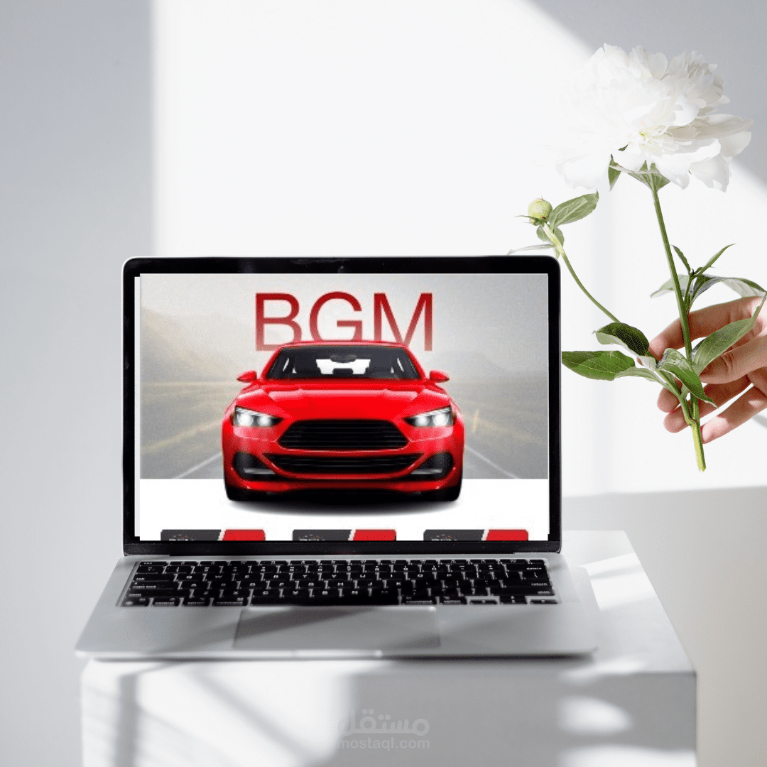 موقع احترافي علي منصه سلة