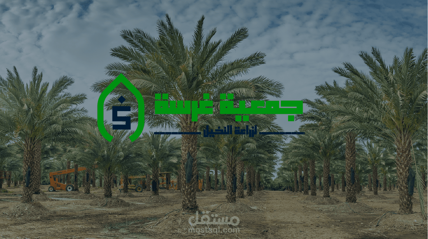 تصميم هوية بصرية بسيطة
