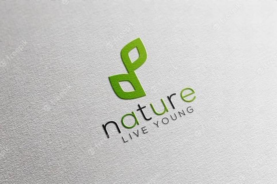 Logo Design