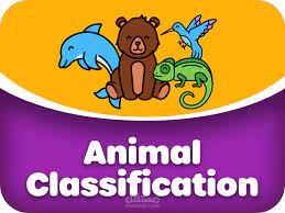 تصنيف الحيوانات