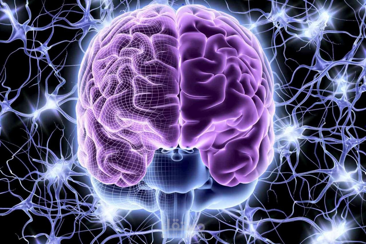 خرائط ذهنية مُصمَمة بطرق مختلفة.