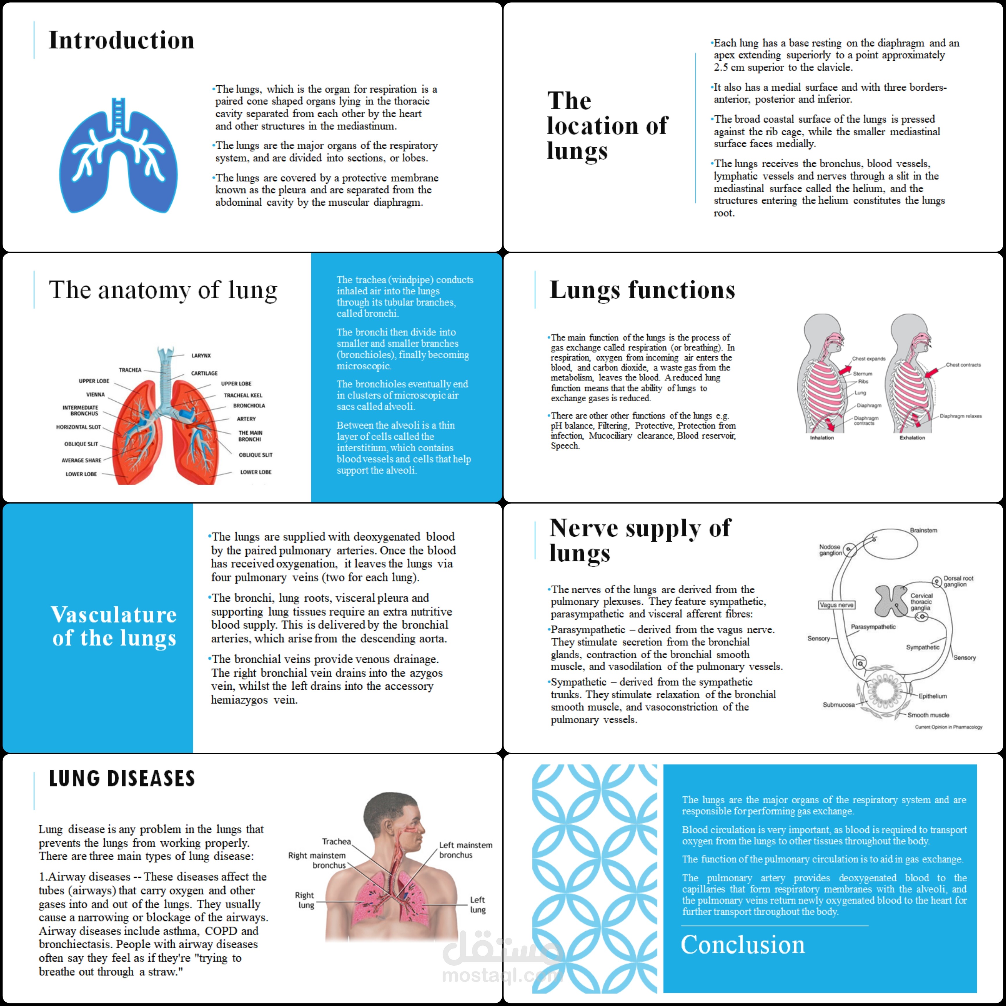 PowerPoint presentation صغير بعنوان Overview of the lungs.