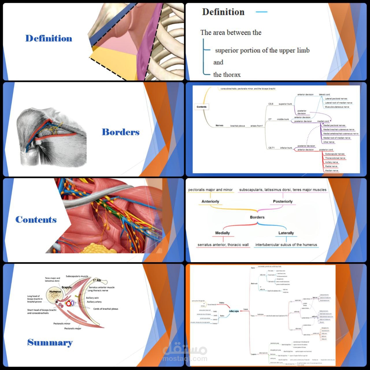 Mind map PPt بعنوان Axillary region.