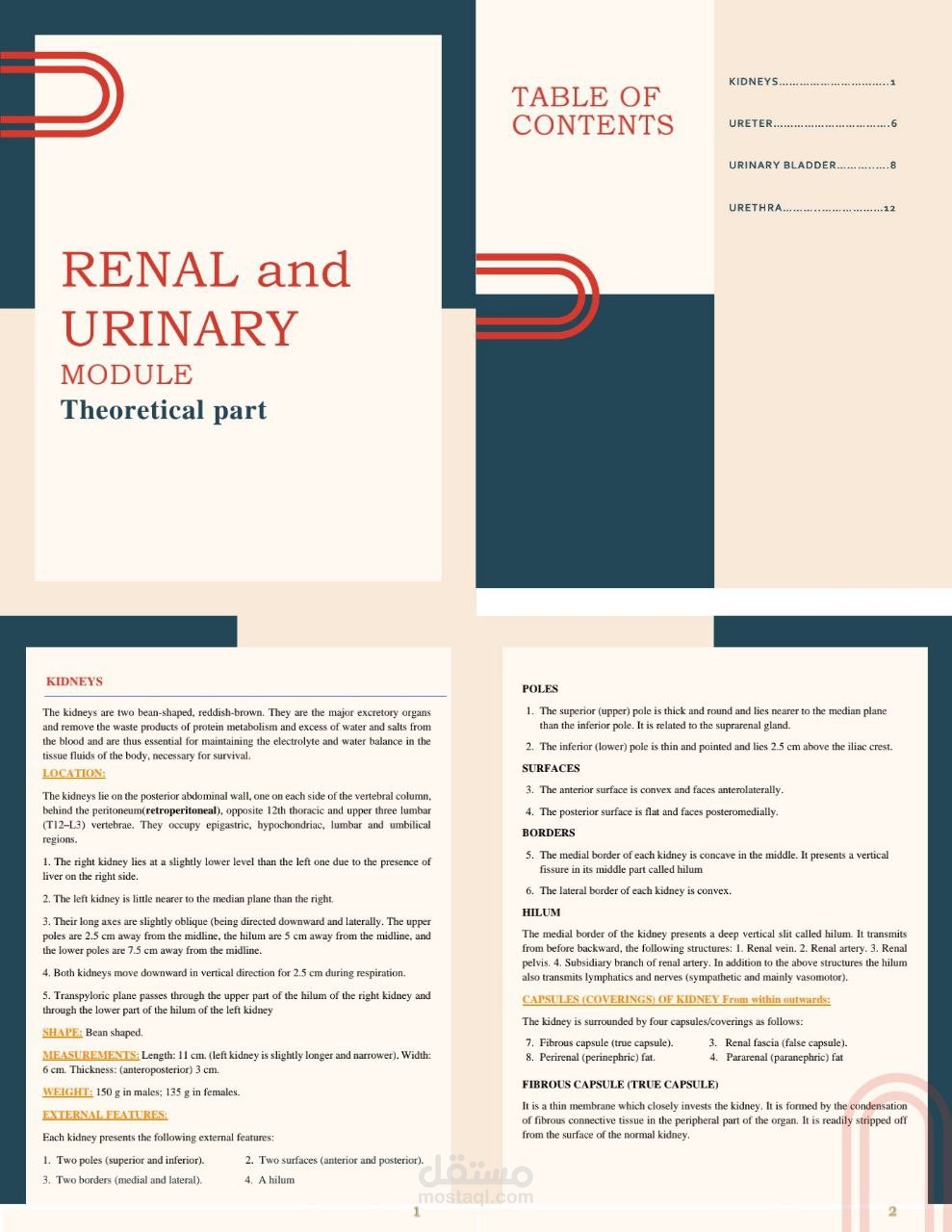 تحويل ملف PDF إلى Word