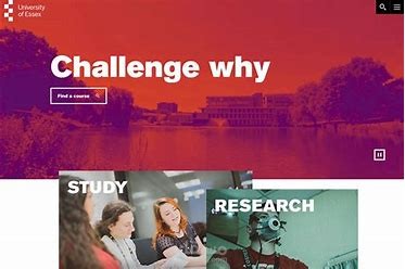 University website